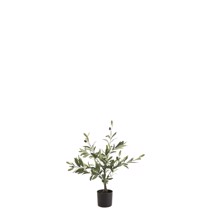 J Iine Oliventræ 70 cm høj ( Kunstig)
